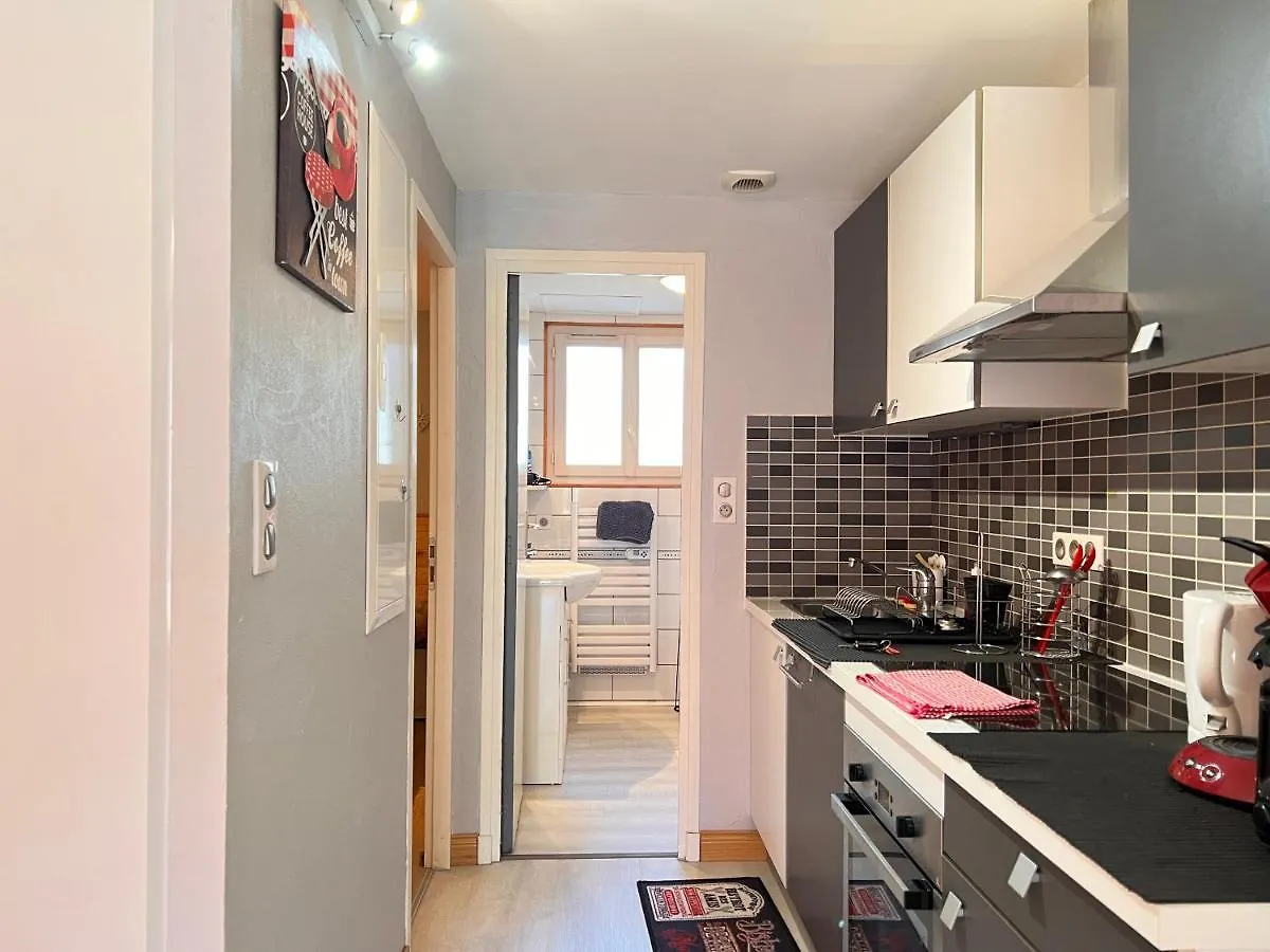 T2 Ensoleille. Terrasse Et Vaste Jardin Commun Apartment Cauterets